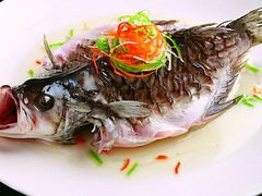 -老板恋上鱼(恒隆广场店)