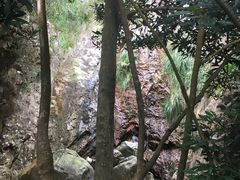 -牛鱼嘴原始生态风景区