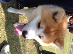 iphone_upload_pic-三锐体育游泳中心