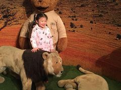 -济州岛泰迪熊博物馆