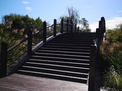 -武清南湖绿博园