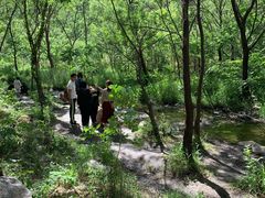 -碓臼峪自然风景区