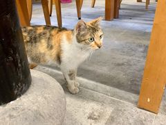 -忆秦园小笼包(惠山古镇总店)