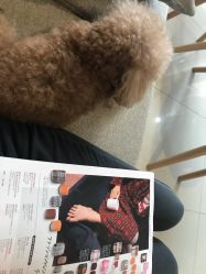 -Hands Nail专业美甲美睫