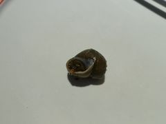 -老闵田螺馆·南昌市井菜·特色小吃(总店)