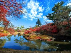 -奈良公园