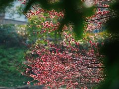 -中国茶叶博物馆(双峰馆区)