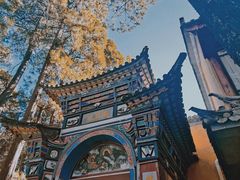 -寂照庵
