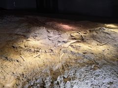 -世界恐龙谷景区