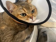 -荔康动物医院(康王北路店)