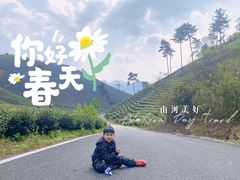 -帐篷客·溪龙茶谷度假酒店