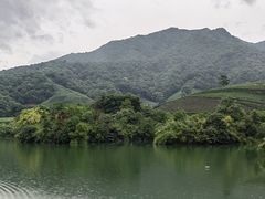 -龙坞茶村