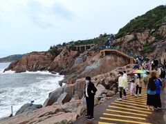 -广东惠东海龟国家级自然保护区