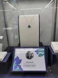 -爱丽丝珠宝(亚泰富苑店)