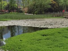 -贵阳市花溪国家城市湿地公园