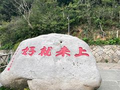 -普陀山风景区-佛顶山