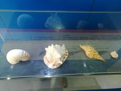 -上海海洋大学鱼文化博物馆(军工路校区)