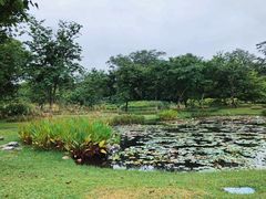 -中国科学院西双版纳热带植物园