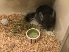 -龙猫仔乐园(惠福东路店)