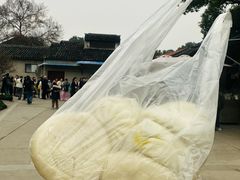 -西园寺素食(西园弄戒幢律寺店)