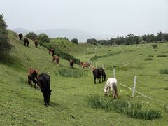-新疆那拉提国家旅游度假区