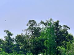 -两河城市森林公园