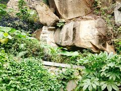 -乌山风景区