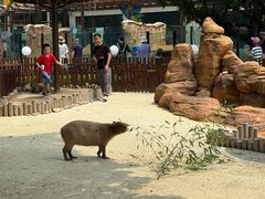 -大连森林动物园