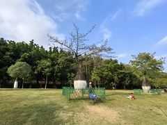 -东莞植物园