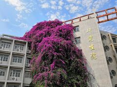 -广西大学(大学东路校区)