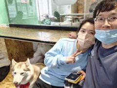 -Husky Go! 哈士奇体验馆·宠物咖啡厅狗咖