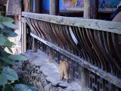 景点-西江千户苗寨