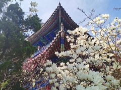-青岛崂山太清宫