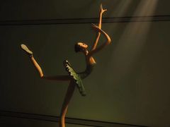 -凤凰中心