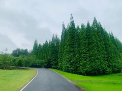 -宜兴龙背山森林公园