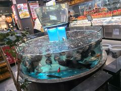 -魏铭鱼头捞饭(晋阳路店)