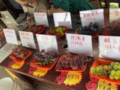 -马陆小张葡萄园农家乐