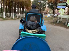 -乌村