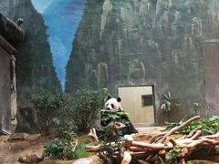 -香港海洋公园