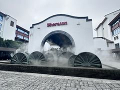 -杭州西溪喜来登度假大酒店