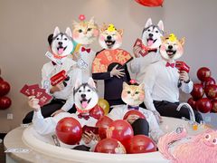 -南美元生态大酒店(海珠店)