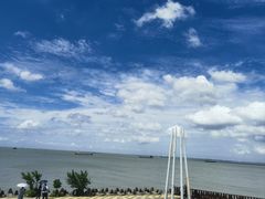 -上海滨江森林公园