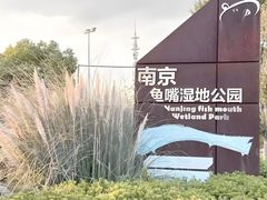 -鱼嘴湿地公园
