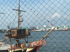 -大阪海游馆