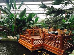 -汤山翠谷生态餐厅