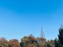 -白马涧龙池景区