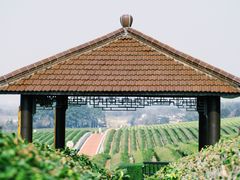 -雅达·阳羡溪山小镇中心