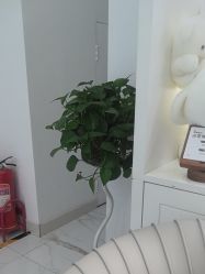 -欧扬医疗美容