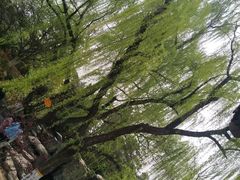 -西安青龙寺遗址景区