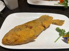-老牌坊鲁菜名店(聊城美食岛店)